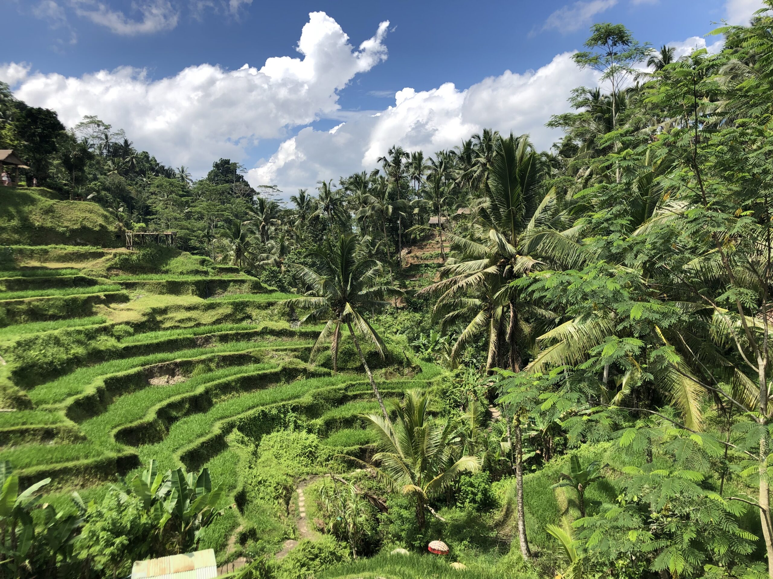 Bali